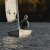 Martinsregatta II (Laser)