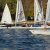 Martinsregatta II (Laser)