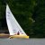 Einhandregatta