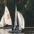 Martinsregatta 2014 (470er)
