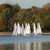 Martinsregatta 2014 (470er)