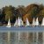 Martinsregatta 2014 (470er)