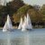 Martinsregatta 2014 (470er)