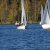 Martinsregatta 2014 (470er)