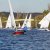 Martinsregatta 2014 (Laser)