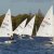 Martinsregatta 2014 (Laser)