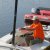 Einhandregatta