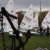 Martinsregatta II (Laser)