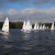 Martinsregatta II (Laser)