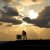 2016_lasertraining_nl_054