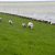 2016_lasertraining_nl_116