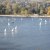 Martinsregatta II (Laser)