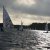 Martinsregatta Laser