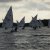 Martinsregatta Laser