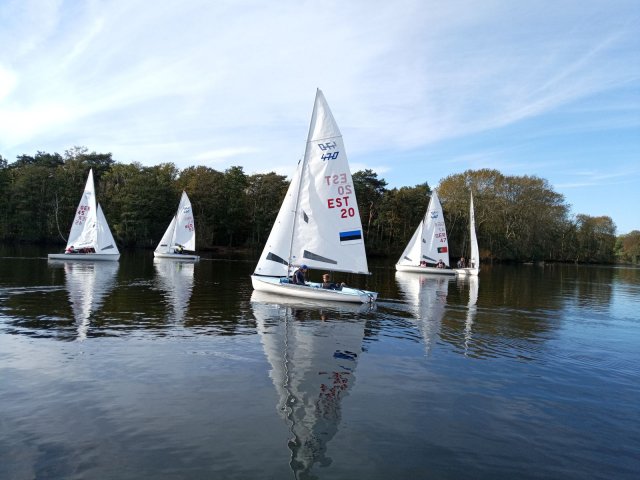Martinsregatta I - 470er
