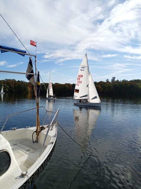 Martinsregatta I - 470er
