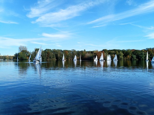 Martinsregatta I - 470er